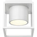 Desmond LED 7.13 inch Matte White Flush Mount Ceiling Light